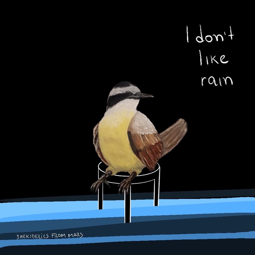I Dont Like Rain